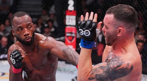 ufc odds oddsshark.